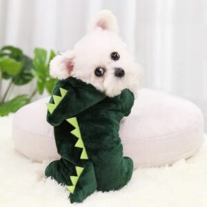 disfraz de dinosaurio
